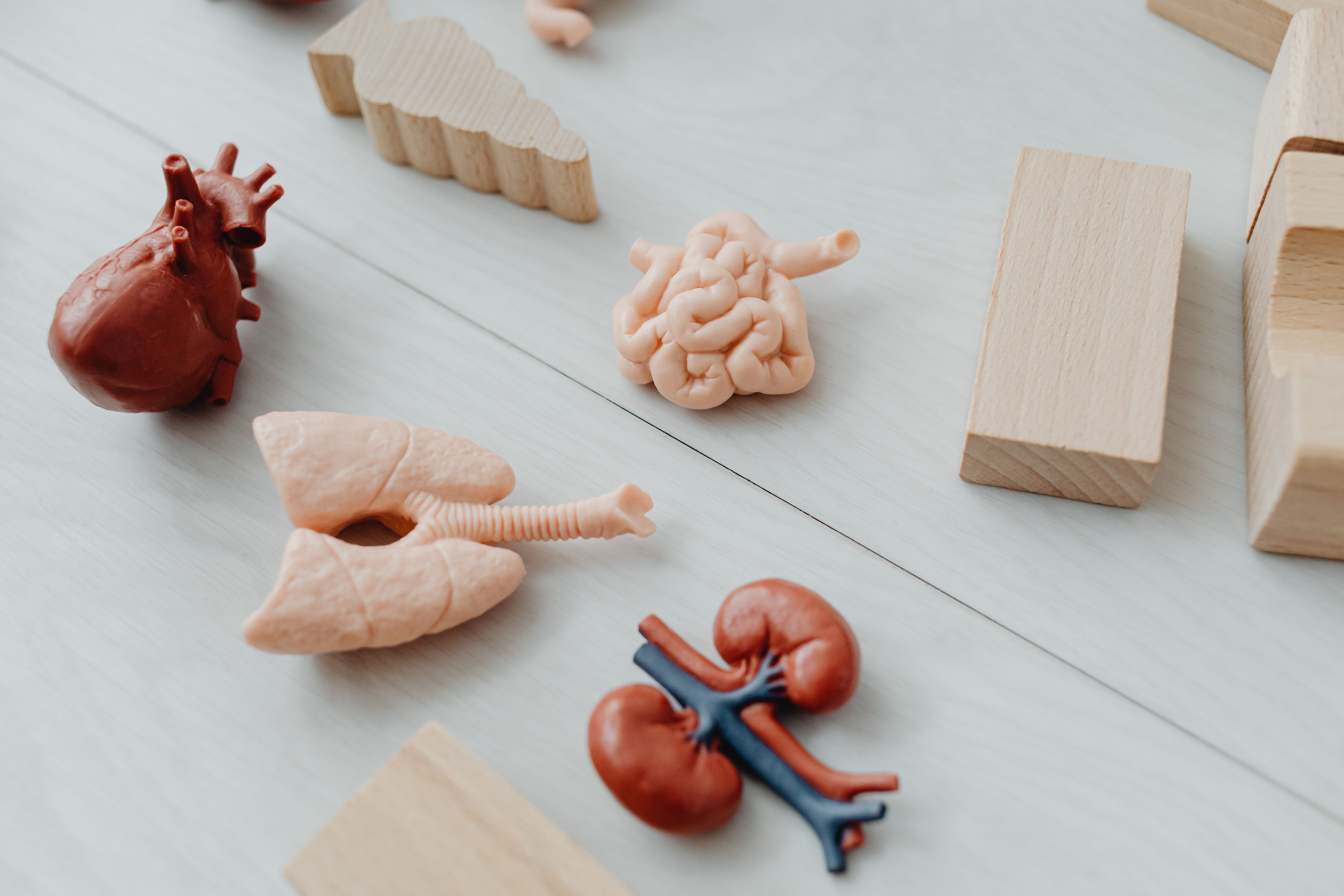 Chronic Kidney Disease: Symptoms, Causes, Diagnosis & Management